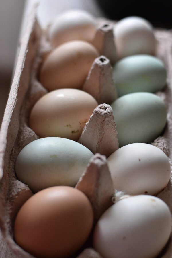 Farm Fresh Eggs