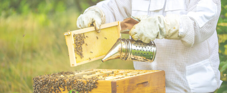 The Sweetness of Local Raw Honey